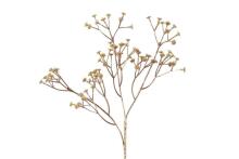 4Living Gypsophila izsmidzināšana zelta krāsā 56 cm