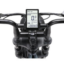 Электрический велосипед APE RYDER 20 A10 черный