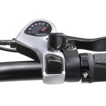 Электрический велосипед APE RYDER 20 A10 черный