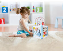 Wooden educational cube sorter + blocks ECOTOYS