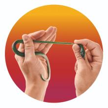 Zoology - Strechy snake, 30 cm, 4 assorted