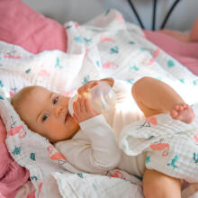 AKUKU A0686 Blanket / Swaddle / Muslin Towel 110x105 cm Flamingos