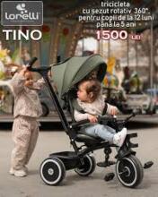 Lorelli Tino Art.10050682506 Grey Children's tricycle with handlebar and roof