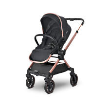 Lorelli Reya 2 in1 Art.10022072501 Black Jasper Universal stroller 2 in 1