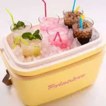 Polarbox Cool Box Retro Cooler Art.256938 Pink kempinga ledusskapis/aukstumkaste 12L