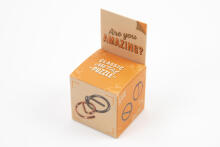 RECENT TOYS Loģikas spēle "Are You Series"