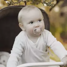 Frigg Lucky Symmetrical Silicone Pacifier  Art.10216 Cedar  Пустышка(соска) из 100% натурального силикона 0-6 мес.(1 шт.)