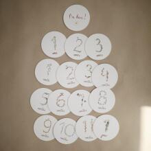 Mushie 16 Baby Monthly Cards Art.2460000  16 карточек для фотосессий младенца – по месяцам, лучший подарок для новорожденного