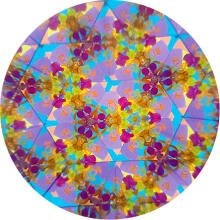 Svoora kaleidoskops, Kosmoss, 19 cm