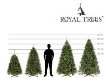 Artificial Christmas Tree Springos CT0238, Siberian Fir PE Premium, 240 cm