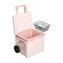 The Easy-Carry Outdoor Wheeled Cooler 47L light pink