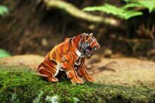 MAKEBUG 3D Paper puzzle Siberian tiger, MB-D-0020