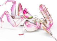 MAKEBUG 3D Paper puzzle Orchid Mantis, MB-B-0003
