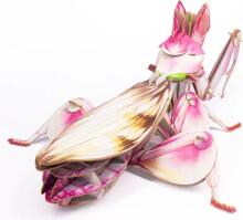 MAKEBUG 3D Paper puzzle Orchid Mantis, MB-B-0003