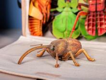 MAKEBUG 3D Paper puzzle Weevil, MB-B-0004