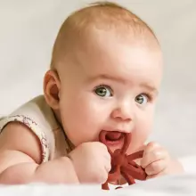 Haakaa Silicone Teether Clover Art.TPS038-C Augstākas kvalitātes - silikona grabulis (100% dabisks)