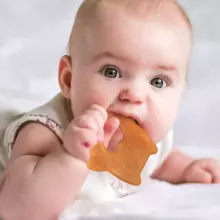 Haakaa Silicone Owl Teether  Art.TPS035 Силиконовая погремушка (100% натуральная)