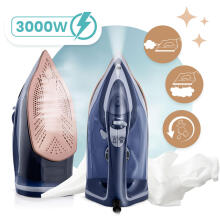 Steam Iron 3000W Berdsen BD-330 ceramic coating vertical operation