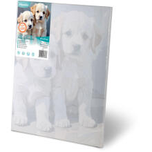 Painting by Numbers Image 40x50 cm Massido Puppies