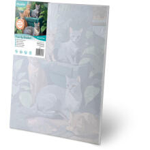 Painting by Numbers Image 40x50 cm Massido Cats