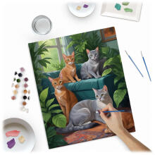 Painting by Numbers Image 40x50 cm Massido Cats