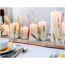 Candle cylinder 4 pcs. &Oslash;120, 100, 80, 60x48mm white