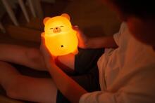 MARY'S MW61641 Breathing Bear Lamp LED