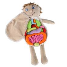 Bebe Basic Doll Boy Art.KX2954 Educational doll for studying anatomy