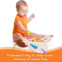 Bebe Basic Doll Boy Art.KX2954 Educational doll for studying anatomy