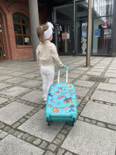 Paw Patrol Suitcase  Art.BC-PP-009  Children's suitcase on wheels