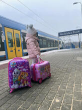 Paw Patrol Suitcase Ride On Art.BC-PP-004 Čemodāniņš-sēdeklis ar riteņiem 3 vienā