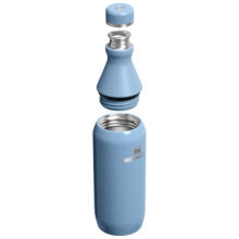 Thermos The All Day Slim Bottle 0.35L glossy blue-violet