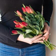 Fresh La Petit Fluer Art. LPT-TR51 Fresh Red Tulips Bouquet – 21 pcs (delivery next day to Pērnavas 5)