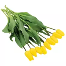 Fresh La Petit Fluer Art. LPT-TR51 Fresh Red Tulips Bouquet – 21 pcs (delivery next day to Pērnavas 5)