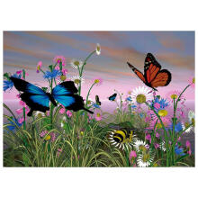 Daimond Mosaic - 48484 - BUTTERFLY - size 30x40 cm