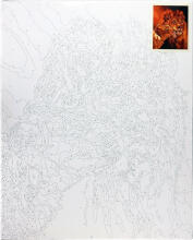 Gleznošana pēc numuriem - 50616 - LAUVAS - izmērs 40x50 cm