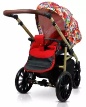 Babylux Aspero Art.286106 Colorful Feathers Универсальная коляска 3 в 1