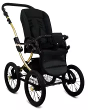 Babylux Margaret Gold Art.286153 Bouguets Peony  Детская классическая коляска 3 в 1