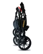 Babylux Miracle Art.286328 Gold Leaf Universal 3-in-1 stroller