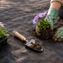 Black UV-resistant agro fabric 135 g/m² weed control mat 1.1×50 m, pins, MultiGarden
