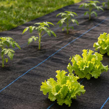 Black UV-resistant agro fabric 90 g/m² weed control mat 3.2×50 m, pins, MultiGarden
