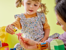 Lego Classic Duplo Art.10439