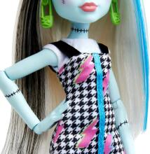 Monster High Фрэнки Штейн – кукла с 11 точками подвижности и аксессуарами