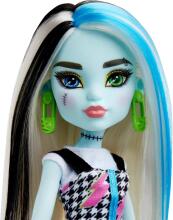 Monster High Фрэнки Штейн – кукла с 11 точками подвижности и аксессуарами