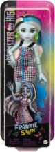 Monster High Фрэнки Штейн – кукла с 11 точками подвижности и аксессуарами