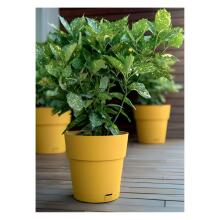 Flower pot with tray Ethica &Oslash;40x39cm mustard yellow
