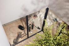 Miele Guard M1 Cat&Dog Black Art.290088  пылесос