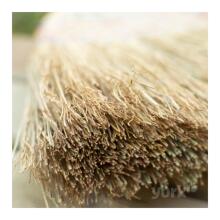 Universālā slota slaucīšanai 23cm Sorgo Mini 