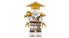 LEGO Ninjago The Guardian Dragon 