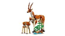 LEGO Creator Savvaļas Safari Dzīvnieki
